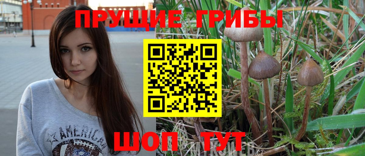 Псилоцибиновые грибы Psilocybine cubensis  Галлюциногенные грибы мухоморы  Вход с VPN  где продают наркотики  Трёхгорный 