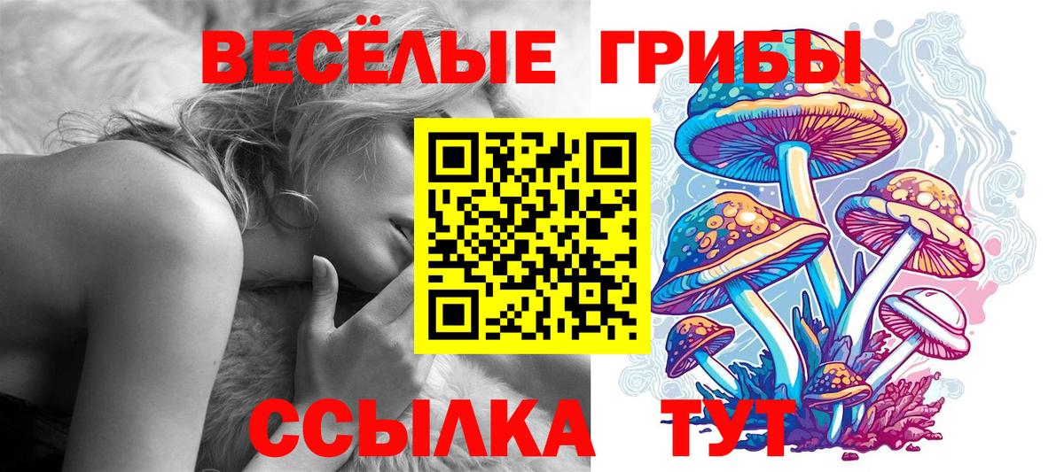 Галлюциногенные грибы MAGIC MUSHROOMS Трёхгорный